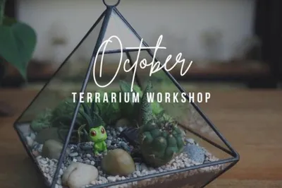 新加坡J2 Terrarium植物盆景工作室