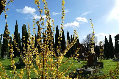 Parco d'Arte Enzo Pazzagli
