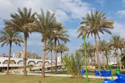 El Shams Sporting Club