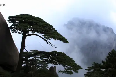 优雅的无声世界 -- 黄山之迎客松