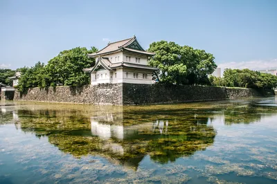 皇居