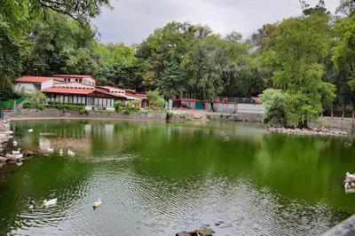 Parque Nacional Fuentes Brotantes