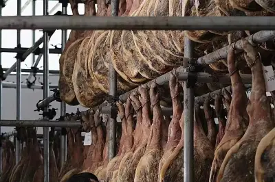 有玫瑰香的中国顶级生食级别火腿