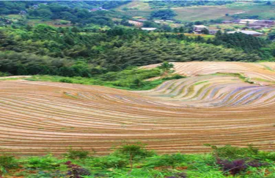 那一年，湘、黔、桂自駕萬里行，我在廣西桂林龍脊看梯田 ▏廣西龍脊梯田自駕遊實用攻略 ▏2021年5月