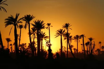 Maroc Excursions
