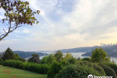 Otağtepe Fatih Grove