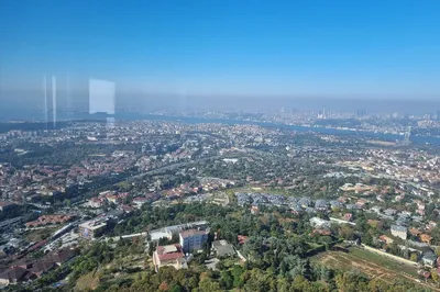 Küçük Çamlıca Korusu