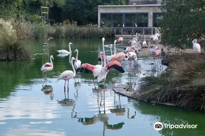 Bird Park Malta