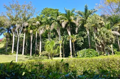 Else Kientzler Botanical Garden