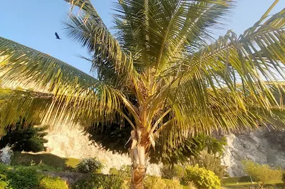 卡布公園