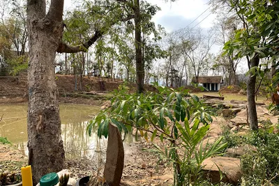 Wat Nong Sa Keo