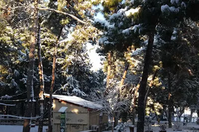 Cholargos Grove