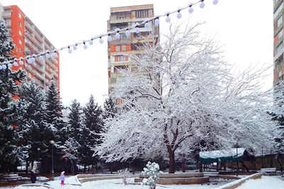 Sanzona Park