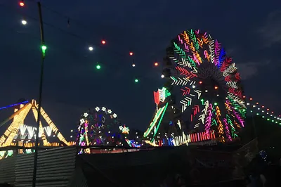 Punjabi Bagh Park