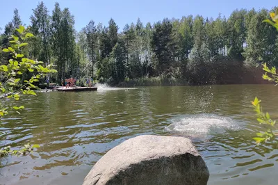 Häklin monttu