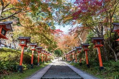 Kurama-dera Temple