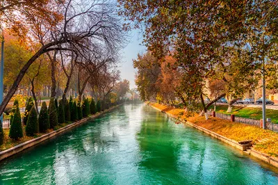 Ankhor Park