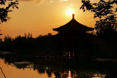 低風險地區的八日遊