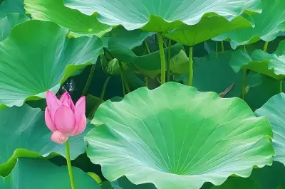 孩子在家闲不住？郑州3个适合带孩子玩的3个地方分享给大家，建议码住！