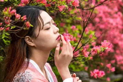 錯過了武漢櫻花，距城區60公里還有4萬畝杜鵑，此時正花開成海