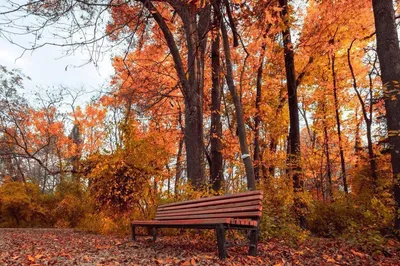 Tashkent Botanical Garden Named After Academician F. N. Rusanov