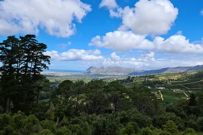 Cecilia, Table Mountain