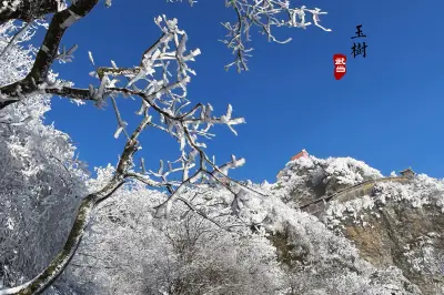 起舞弄清影，何似在人间——武当金顶冬游记