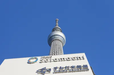墨田水族館