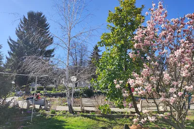 Deunov's Garden