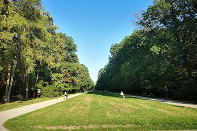 Hvězda