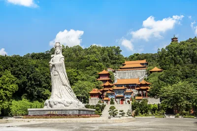 Memorable Nansha: Encountering the Beauty of Guangzhou's 'South Pole' in Midsummer