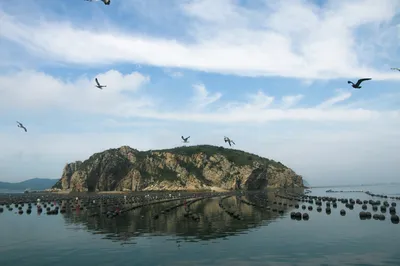 大連海島哪個好玩？看看大連哈仙島，大連海島中的璀璨明珠！
