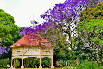 Cabarita Park