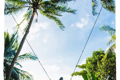 Rock Beach Swing