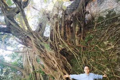 广西报纸整版图文报道——中渡古镇：这里的码头有看头