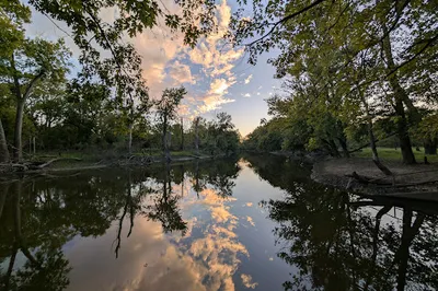 Catherine Chevalier Woods