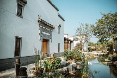 A Little Haven in Art, a Grand World in a Museum – A Glimpse of the Jingang Museum in Shanghai