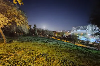 普拉多隆戈公園