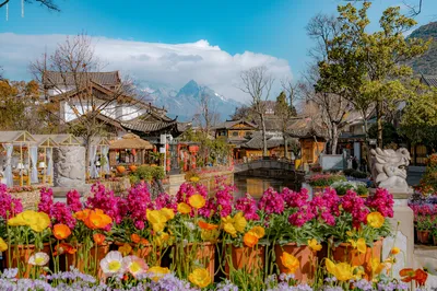 Old Town of Lijiang