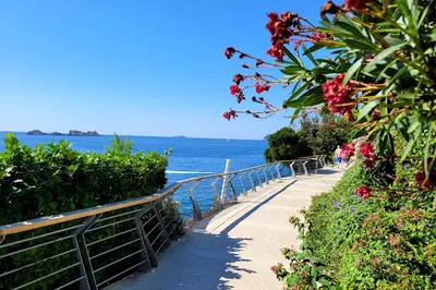 Lungo Mare ~ Uvala Lapad