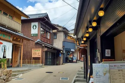 Searching for 'Monsters' in a Famous Hot Spring Resort