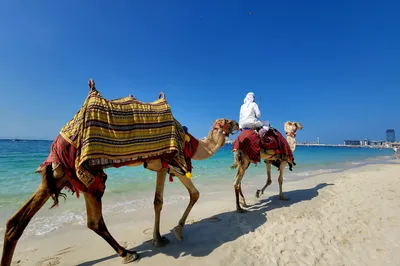 2023-01 Desert Miracle, Dubai