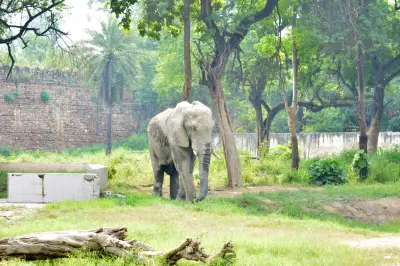 National Zoological Park, Delhi