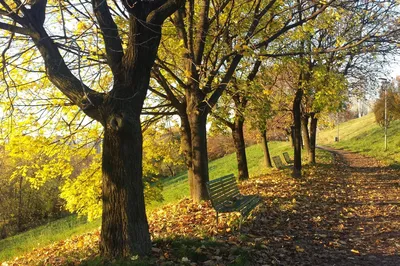 Parco Monte Stella
