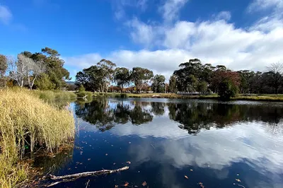 Lyneham Wetlands
