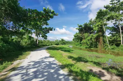 Air Hitam Dalam Educational Forest