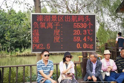 Forest Bathing on Qinhu Lake Island