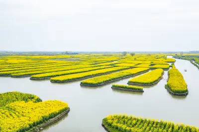 到江苏兴化怎么玩？带你解锁醉美春天
