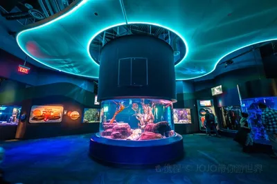 Ripley's Aquarium of Canada