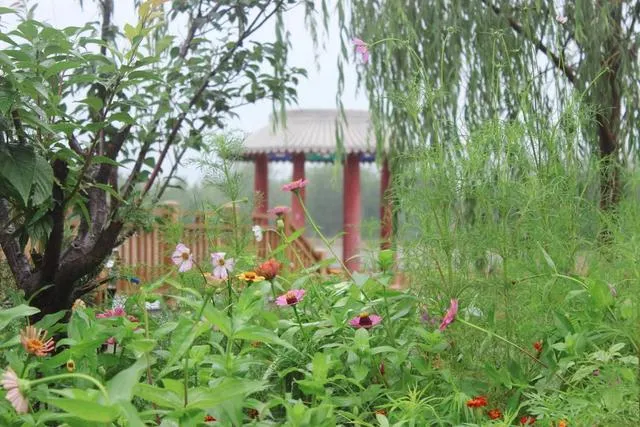 古城夏雨